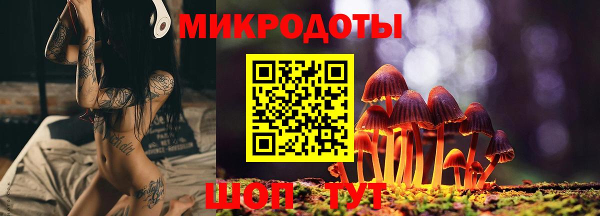Галлюциногенные грибы Psilocybine cubensis  Вход с VPN  Кизилюрт  Галлюциногенные грибы Psilocybe 